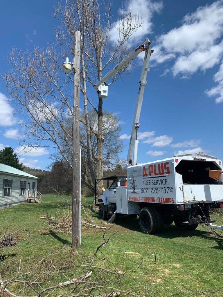 Home A Plus Tree Service LLC
