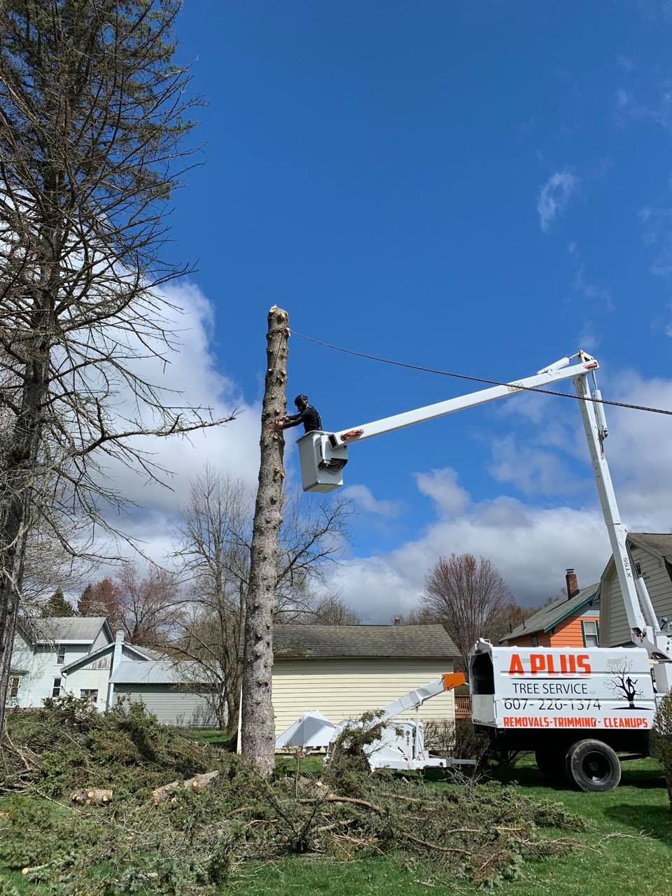 Home - A Plus Tree Service LLC