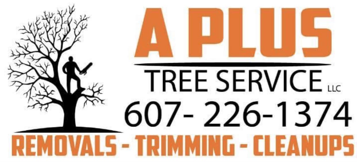 A Plus Tree Service LLC